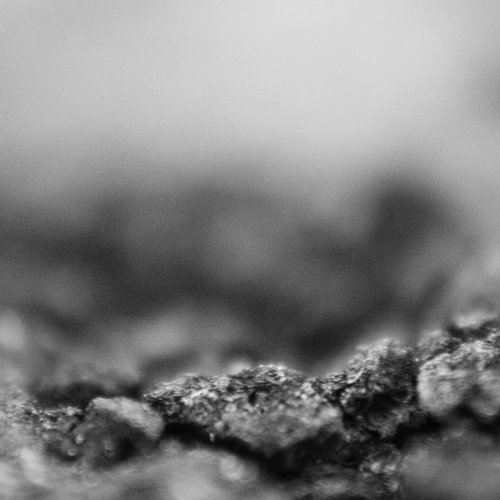 vignette lichtenberg 5